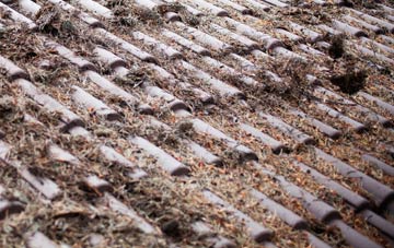 Mamhilad roof cleaning companies